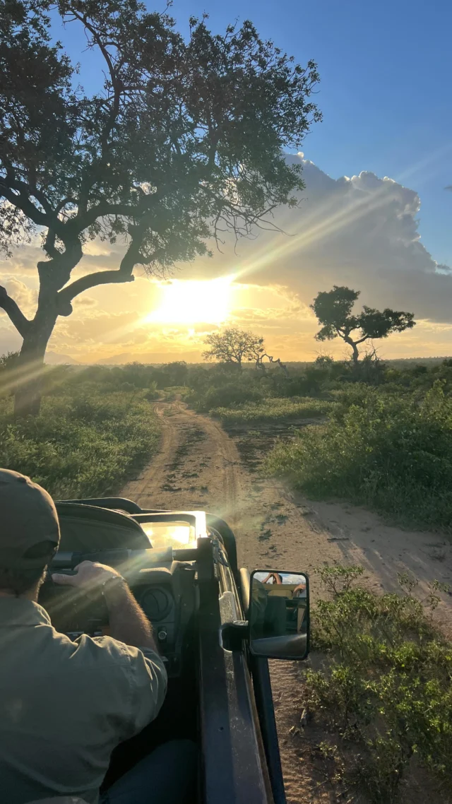 When I think back on the most magical moments from my first safari experience, it’s the unplugged, fully present memories that come rushing back. Let this be your reminder to take the trip that pulls you out of your comfort zone, demands your full attention, and brings you back to yourself. This is Africa. #unpairalleledtravels #pairingpeopleandplaces
